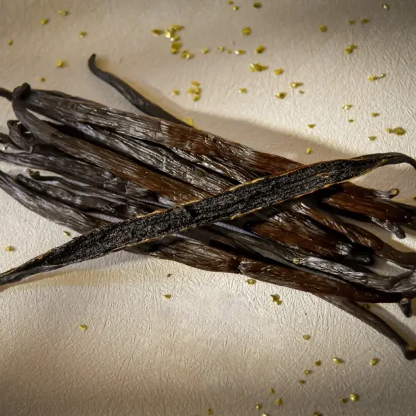 台灣波本香草莢(2.5g~3g格外品)