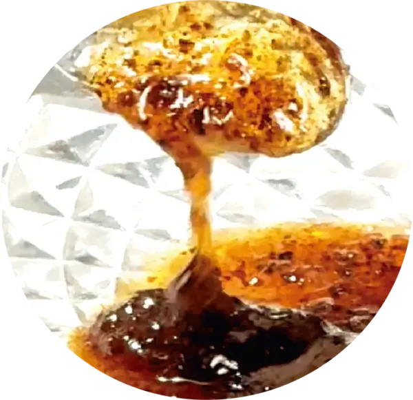 VE 梵尼蘭天然香草莢醬, vanilla paste,