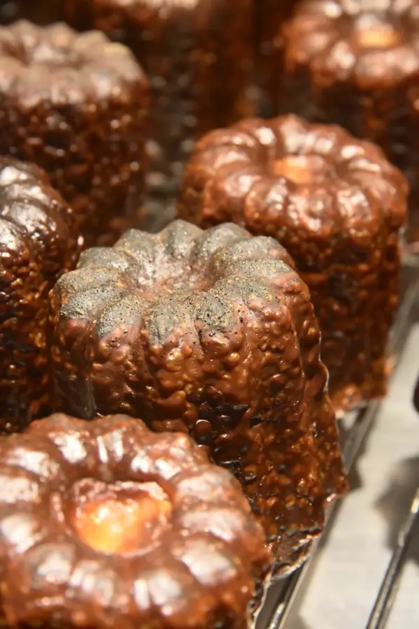 法式經典 香草可麗露 Vanilla Canelé