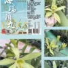 海瑞香草豬肉摃丸300g 須黑貓低溫宅配